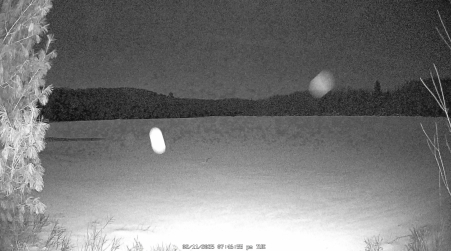Image from 2025-02-11