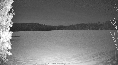 Image from 2025-02-11