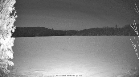 Image from 2025-02-11