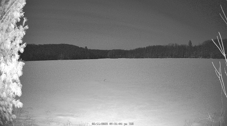 Image from 2025-02-11