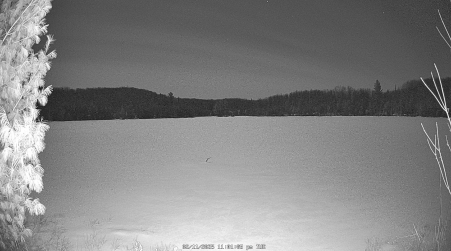 Image from 2025-02-11