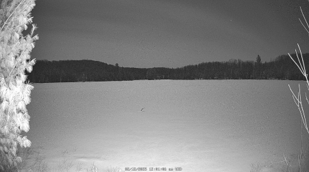 Image from 2025-02-12