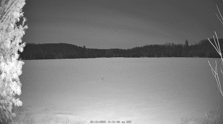 Image from 2025-02-12