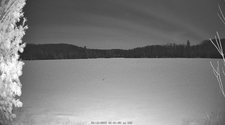 Image from 2025-02-12