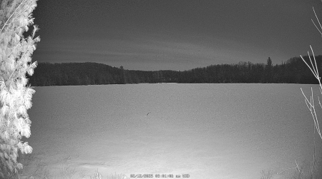 Image from 2025-02-12