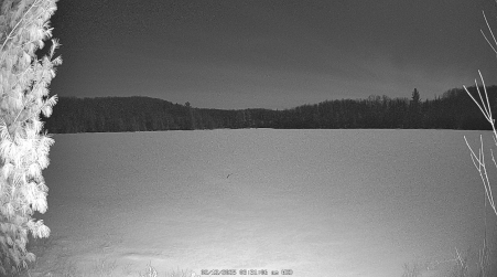 Image from 2025-02-12
