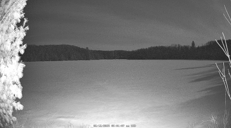 Image from 2025-02-12