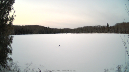 Image from 2025-02-12