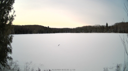 Image from 2025-02-12