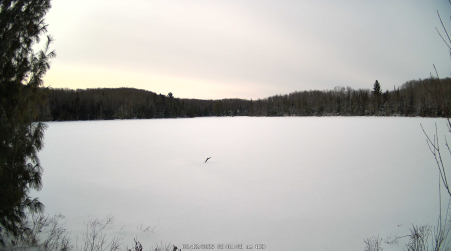 Image from 2025-02-12