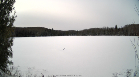 Image from 2025-02-12