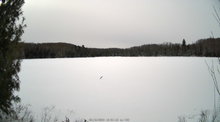 Image from 2025-02-12