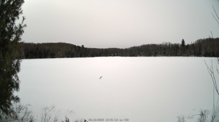 Image from 2025-02-12