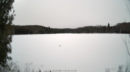 Image from 2025-02-12