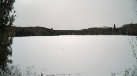 Image from 2025-02-12