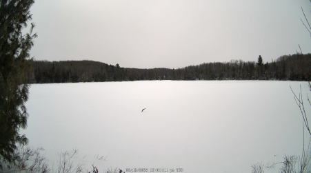 Image from 2025-02-12