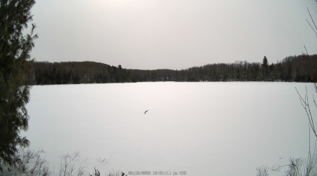 Image from 2025-02-12
