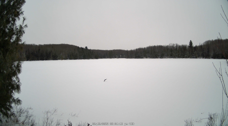 Image from 2025-02-12