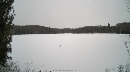 Image from 2025-02-12
