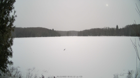 Image from 2025-02-12