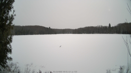 Image from 2025-02-12