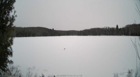 Image from 2025-02-12