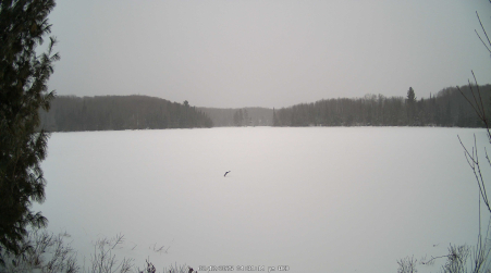 Image from 2025-02-12