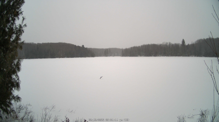 Image from 2025-02-12