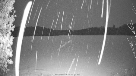 Image from 2025-02-12