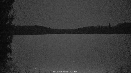 Image from 2025-02-12