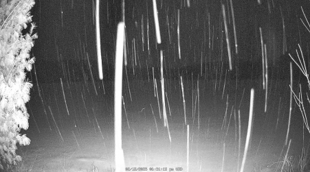 Image from 2025-02-12