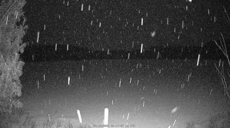 Image from 2025-02-12