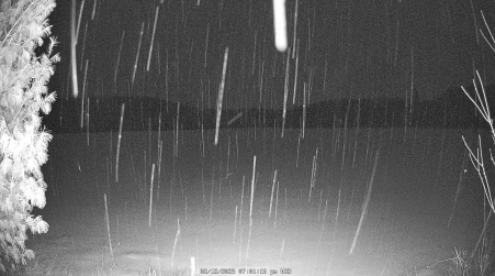 Image from 2025-02-12