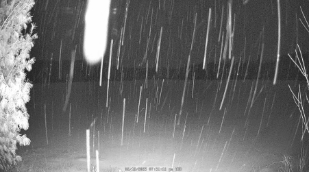 Image from 2025-02-12