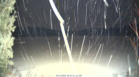 Image from 2025-02-12