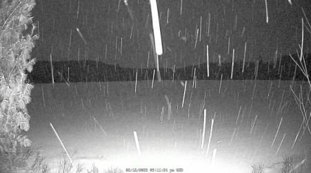Image from 2025-02-12