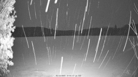 Image from 2025-02-12