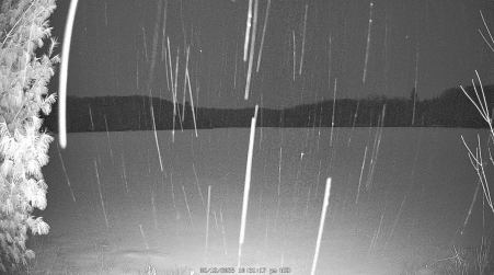 Image from 2025-02-12