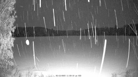 Image from 2025-02-12