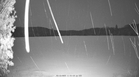 Image from 2025-02-12