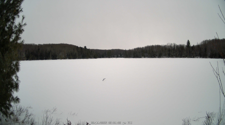 Image from 2025-02-14