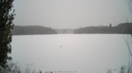 Image from 2025-02-14