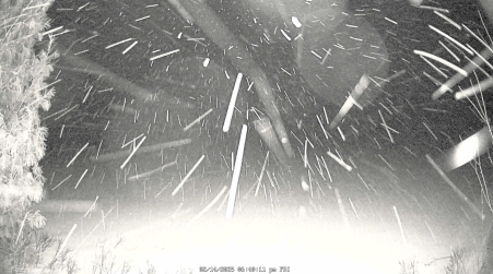 Image from 2025-02-14