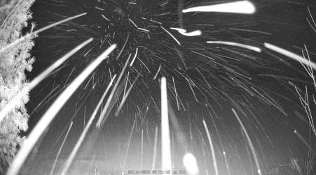 Image from 2025-02-14