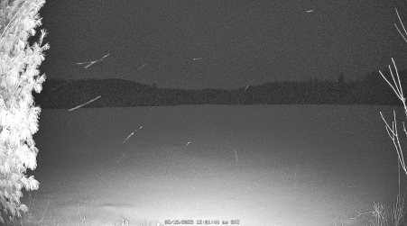 Image from 2025-02-15