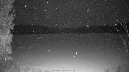 Image from 2025-02-15