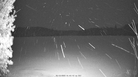 Image from 2025-02-15
