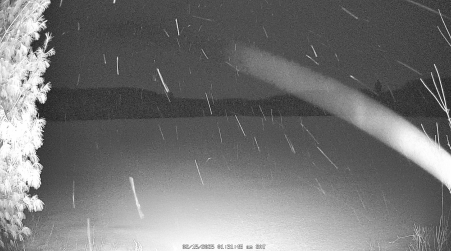 Image from 2025-02-15