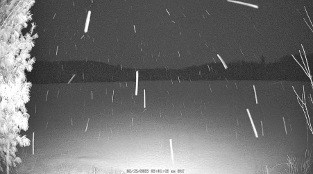 Image from 2025-02-15
