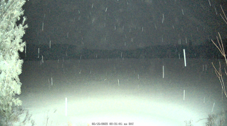 Image from 2025-02-15